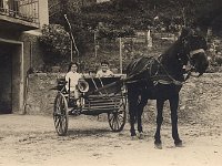 137 Il cavallino Pive anni 60